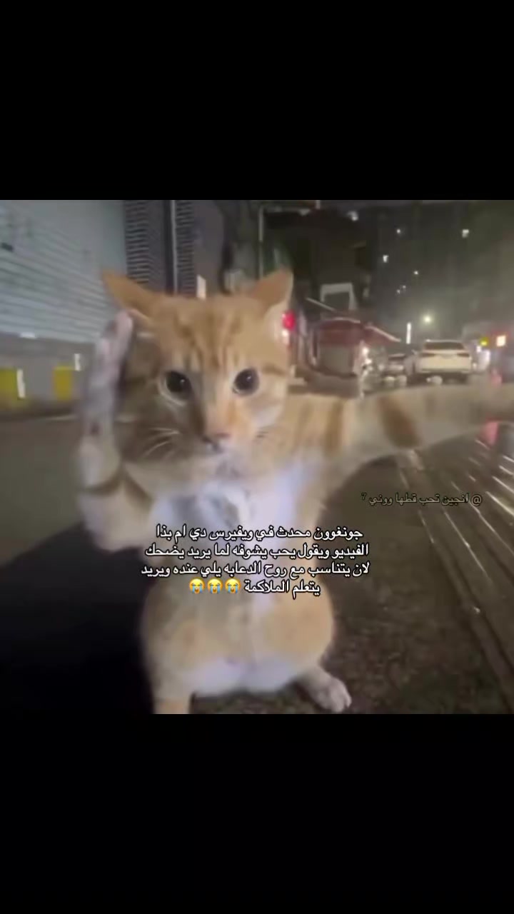 @انجين تحب قطها ووني ⁷