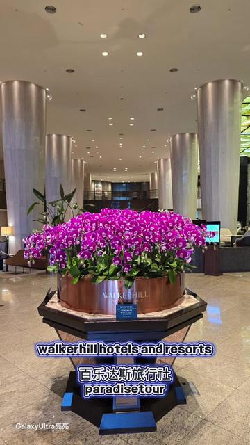 @韩国旅行旅游大妈导游翻译/韓國旅行旅游大媽導遊翻譯