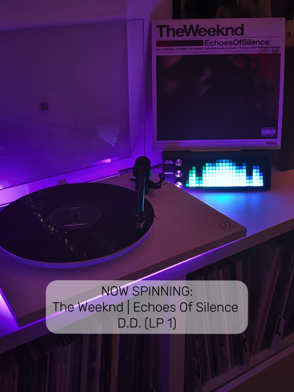@Chrissy || Vinyl Collector 🎶✨