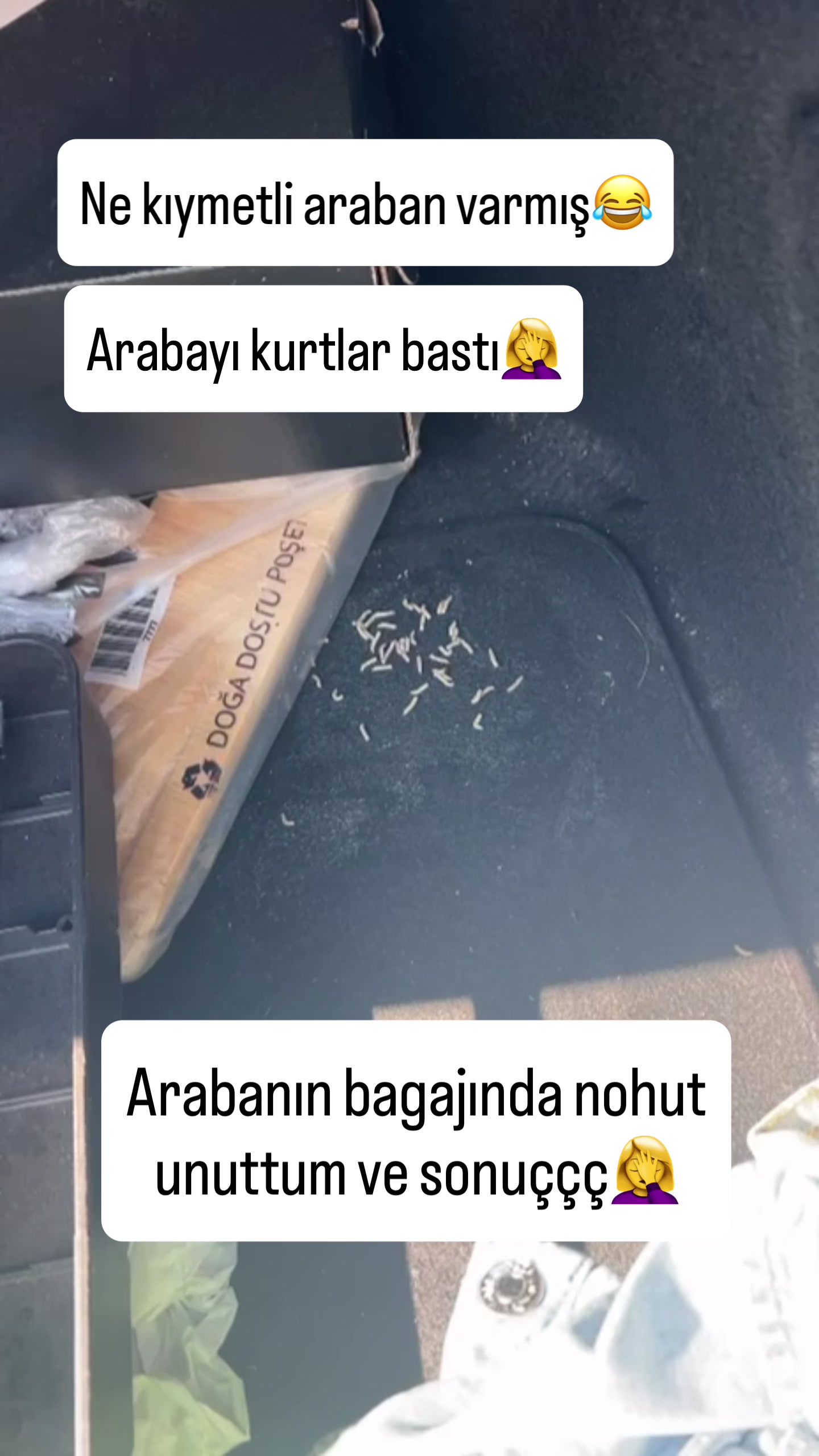 @Tugbakayada
