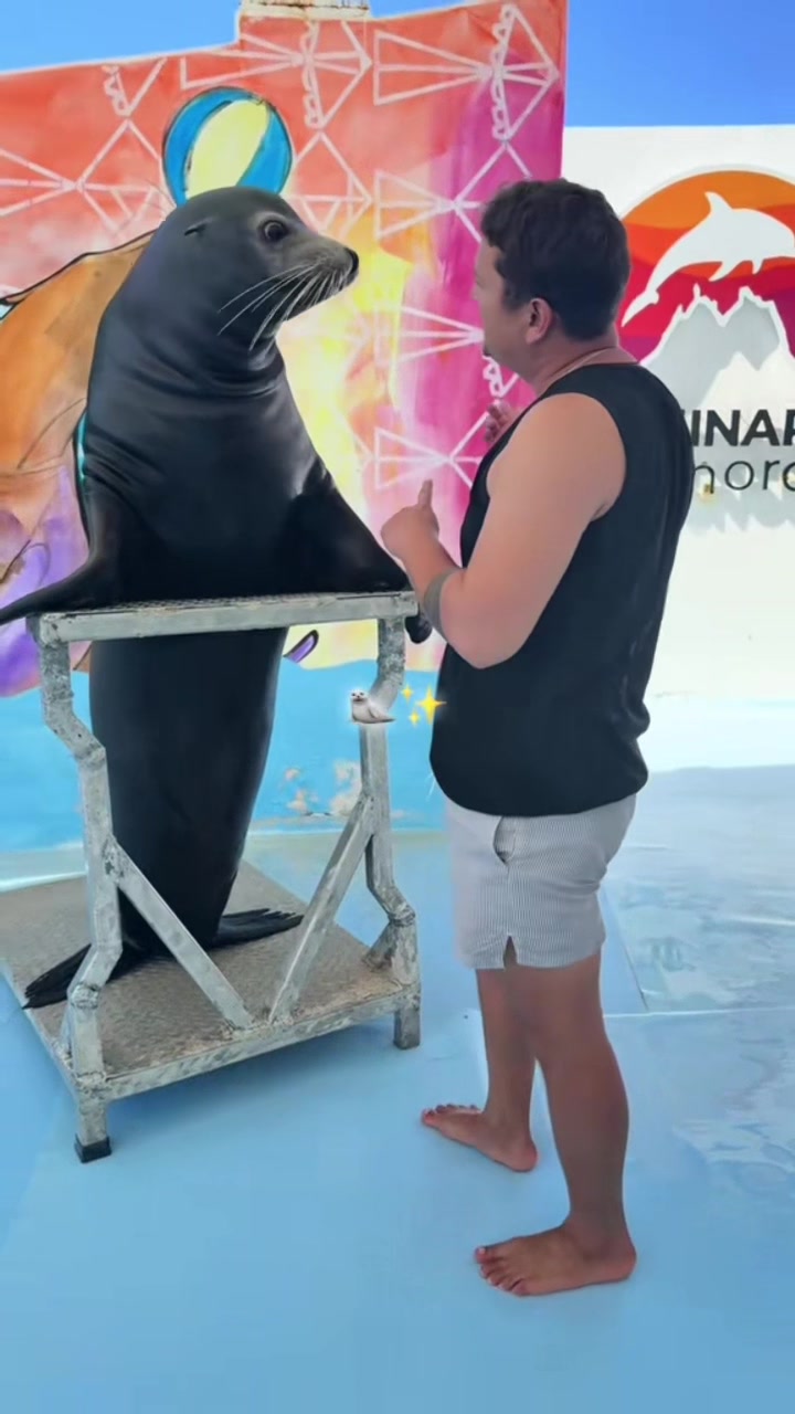 @Juan Anaya Trainer 🐬🦭