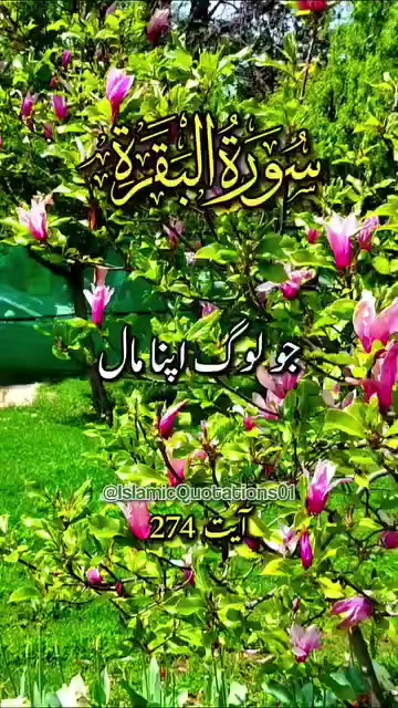 @Love  is Life