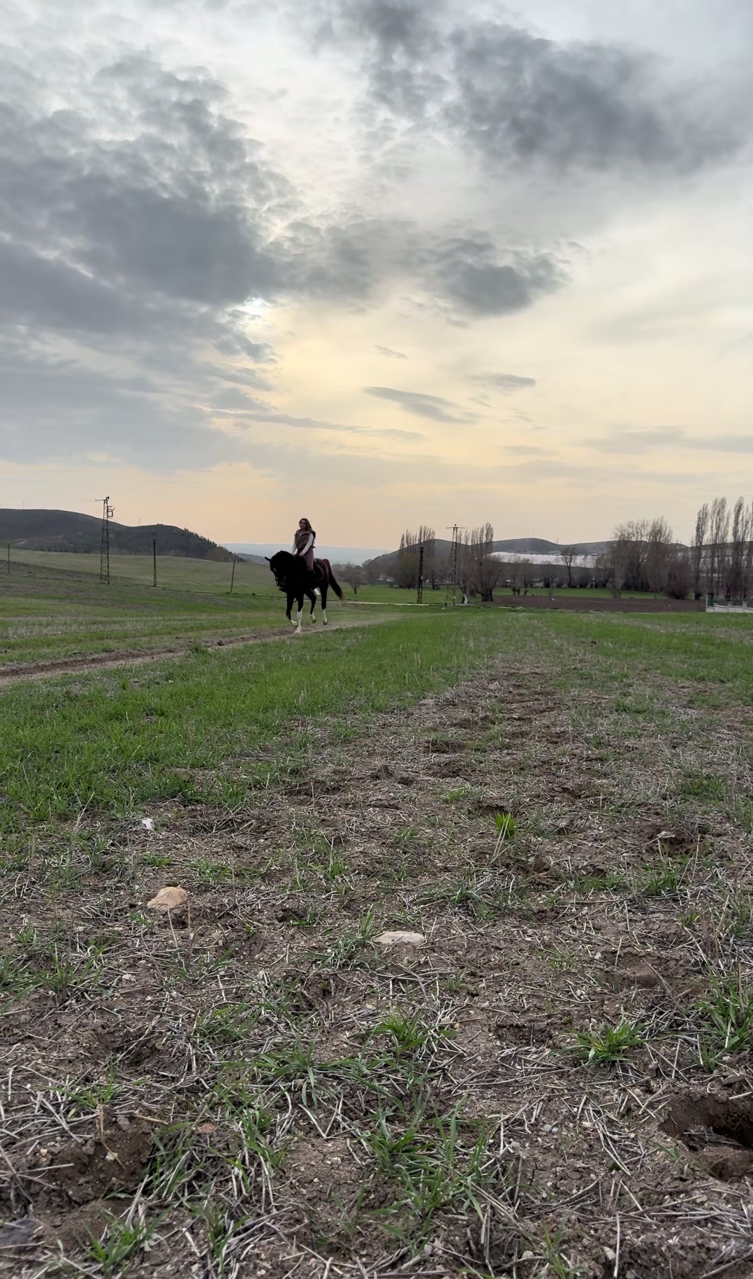 @esra.guzelark