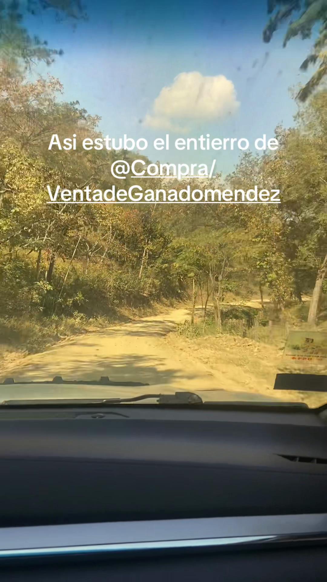 @Luisito_7🕷️