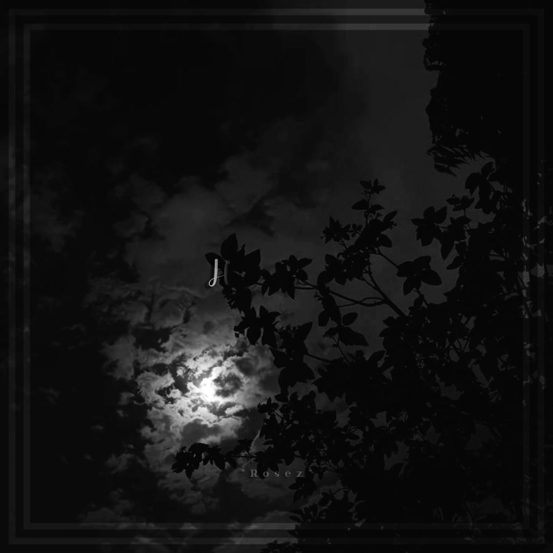 @𓂃♡ 𝓻𝓸𝓼𝓮𝔃 𝓵𝔂𝓻𝓲𝓬𝓼 🌙