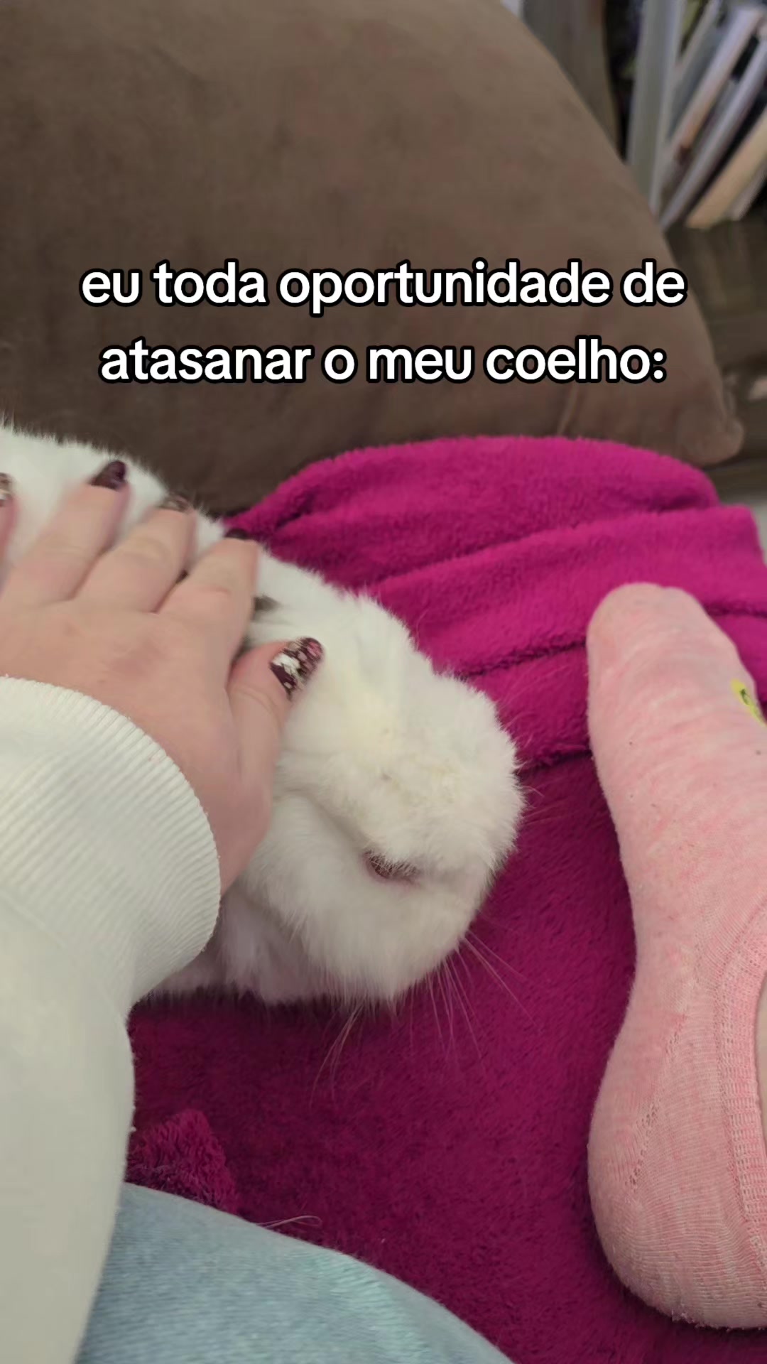 @danihwho📚