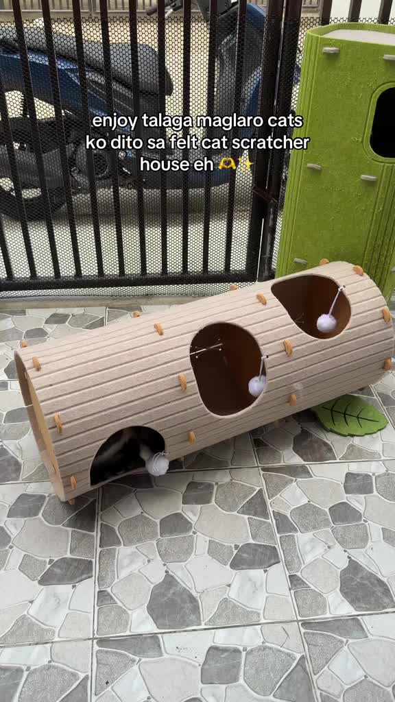 @Aicare Pet Studio