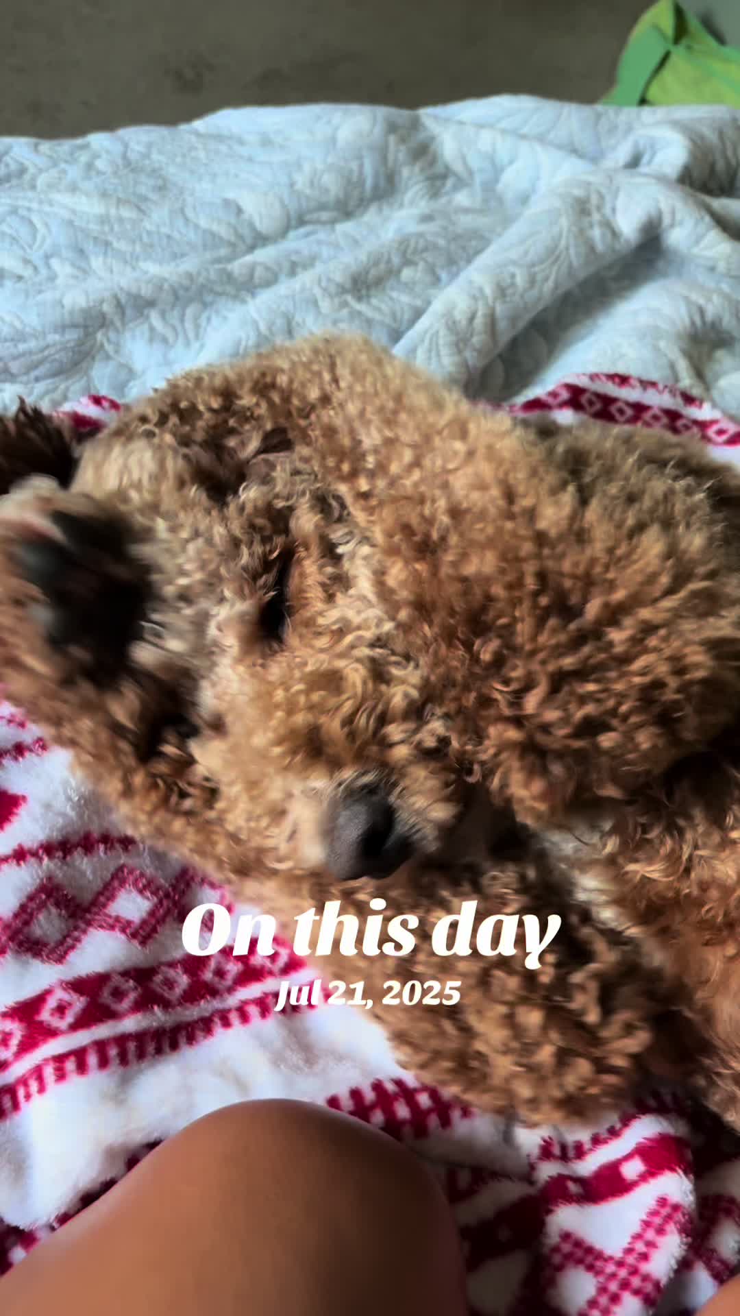 @Reyna y Churro 🐶😍