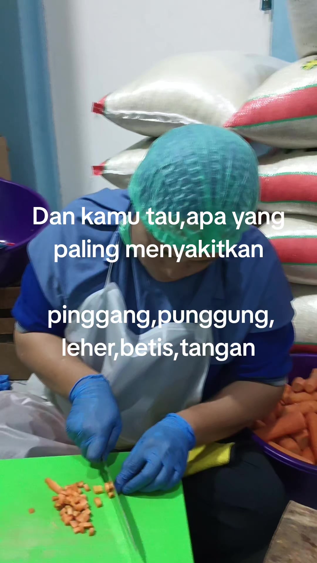 @nofitriasari
