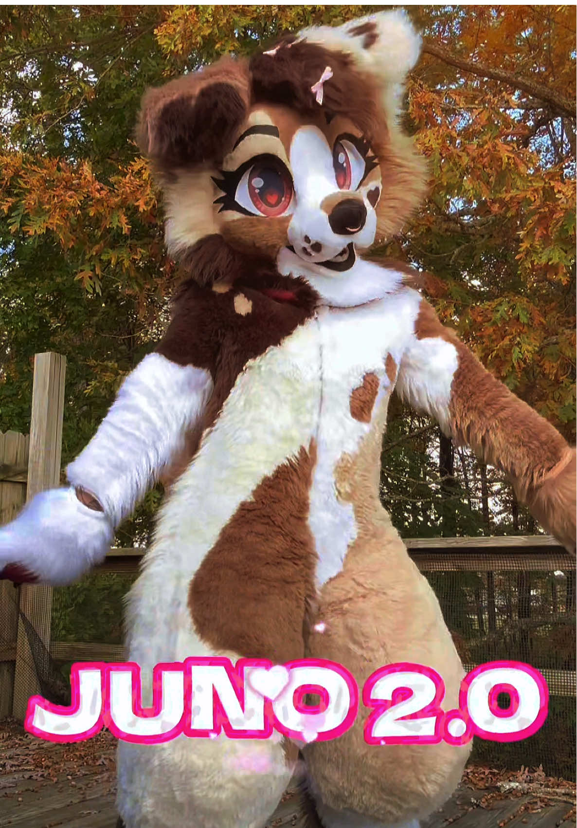 @🎀 JUNO 🎀