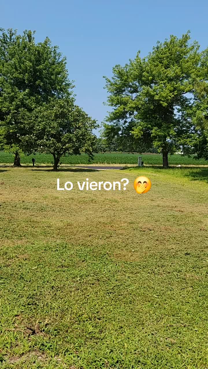 @Lucero Girón