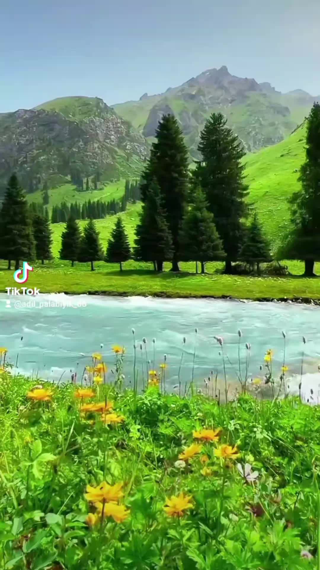 @Adil palabıyık