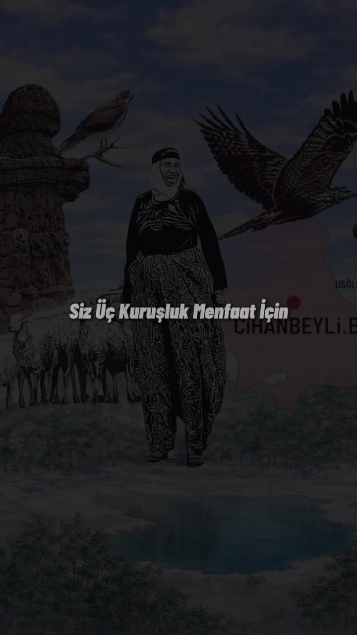 @cihanbeyli.biz