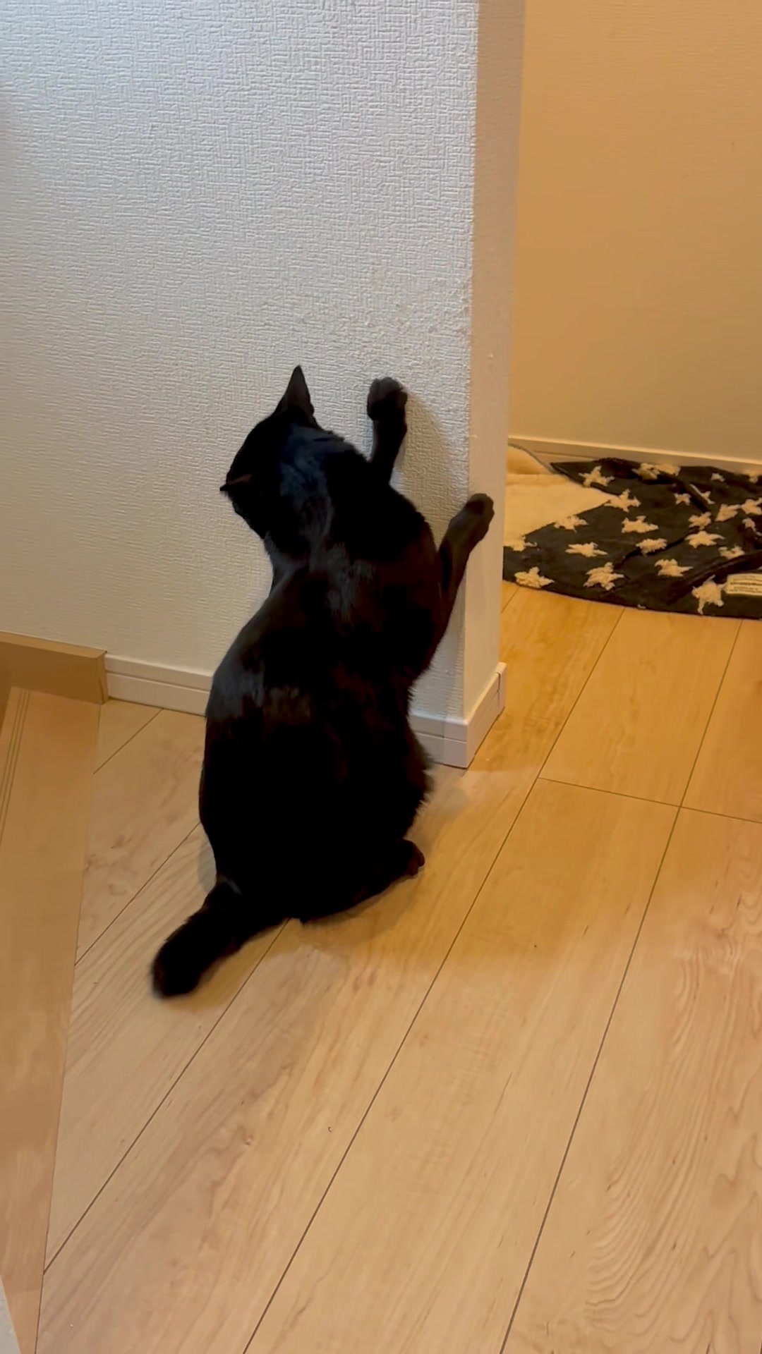 @へいくるあんこ
