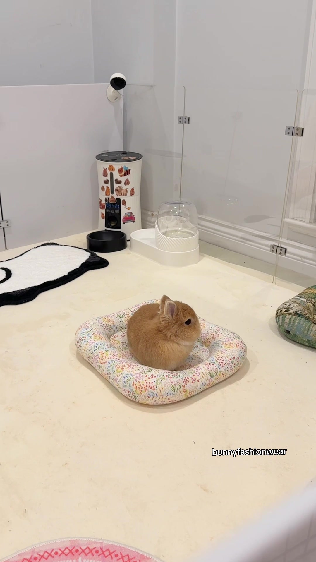 @Eggie