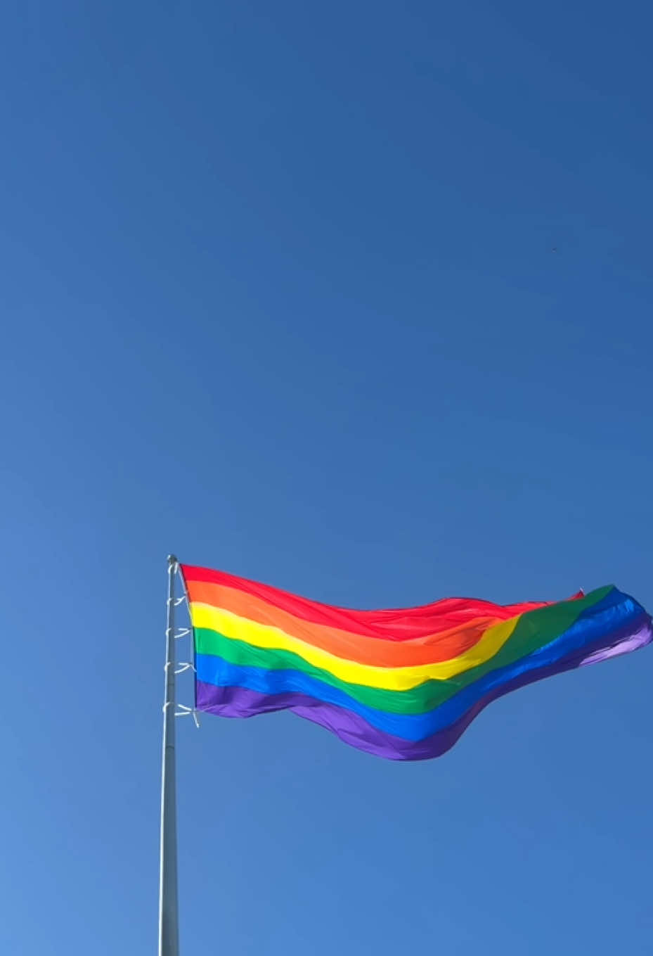 @Pride•ority