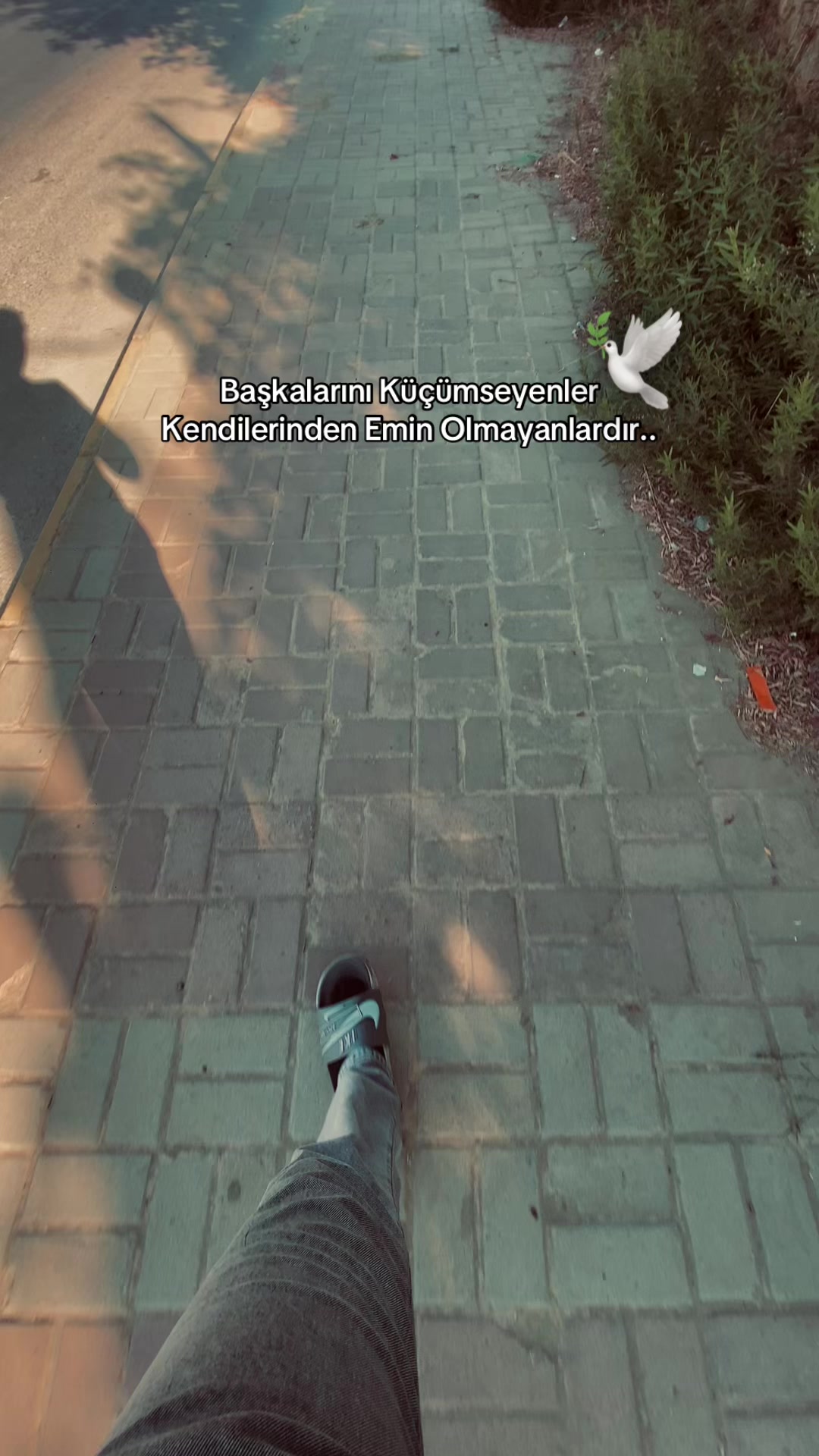 @&bull;𝑨𝑳İ 𝒀𝑰𝑳𝑫𝑰𝑹𝑰𝑴