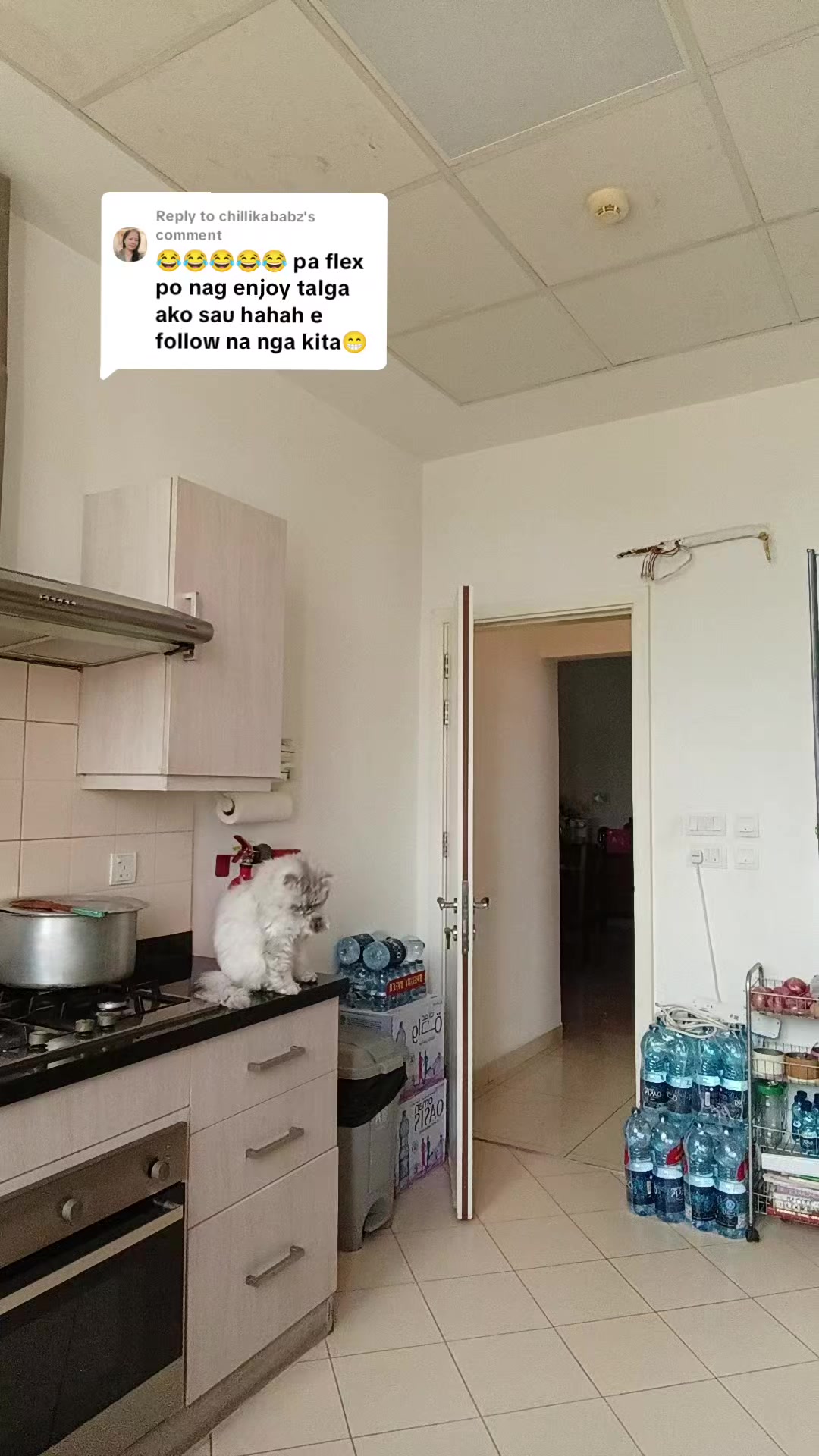 @Sinaing_Mo