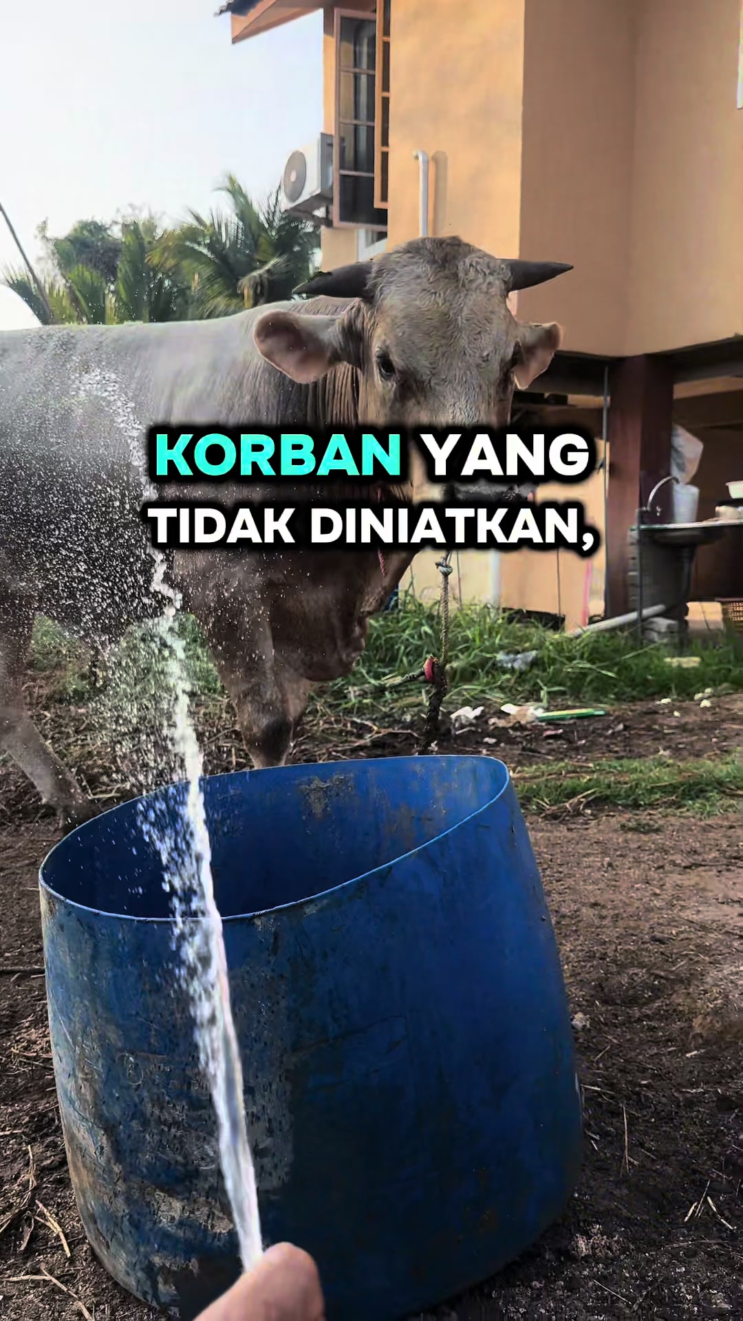 @Azam Hazman