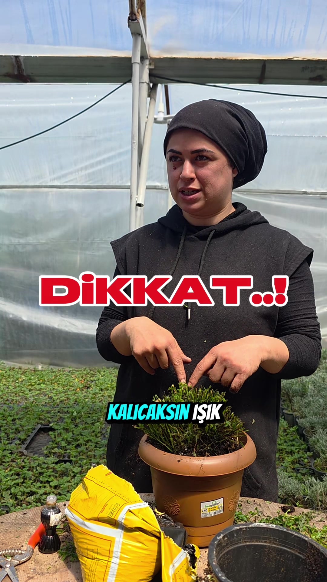 @Botanik bah&ccedil;esi flora