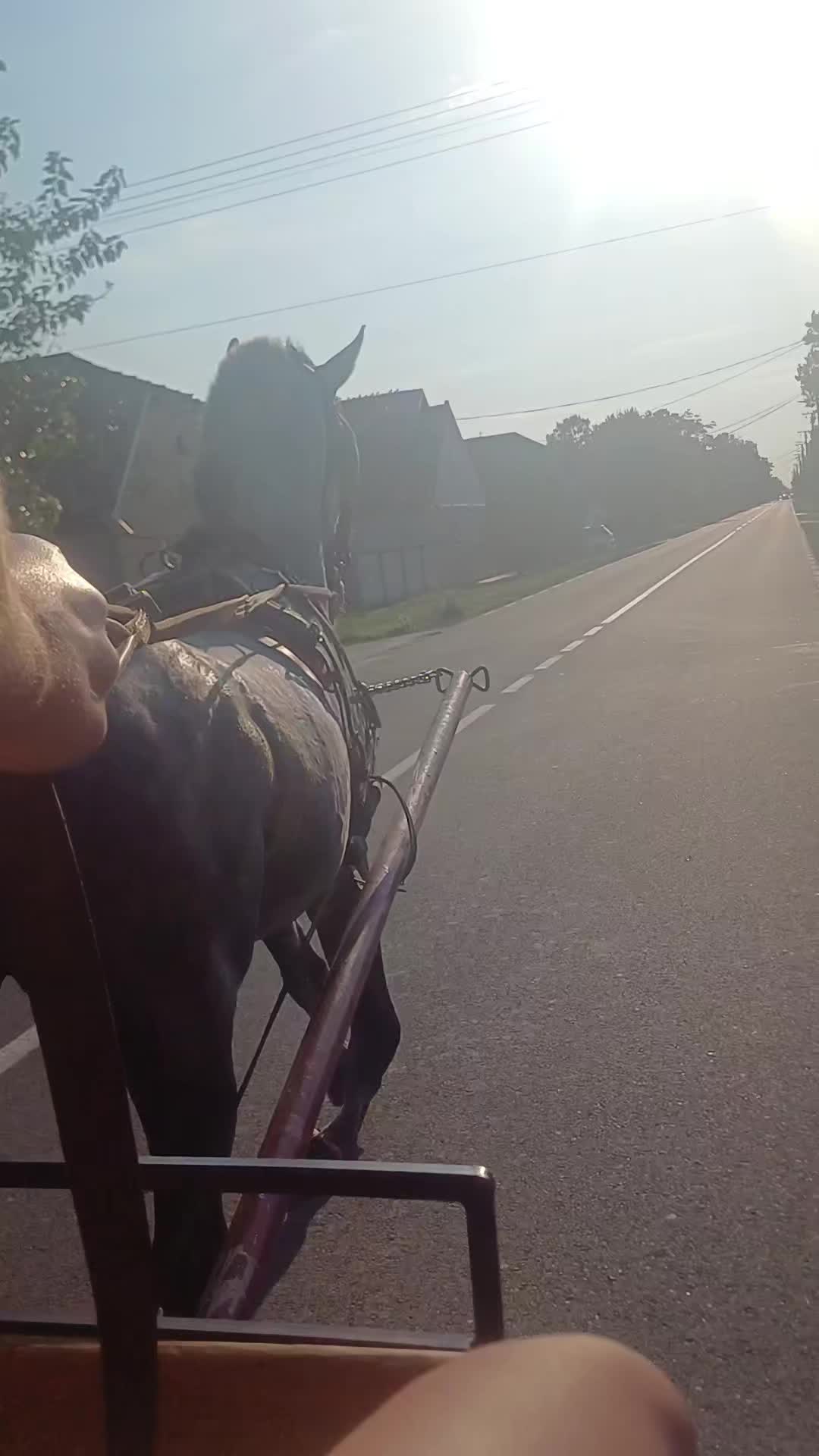 @Ana🤍