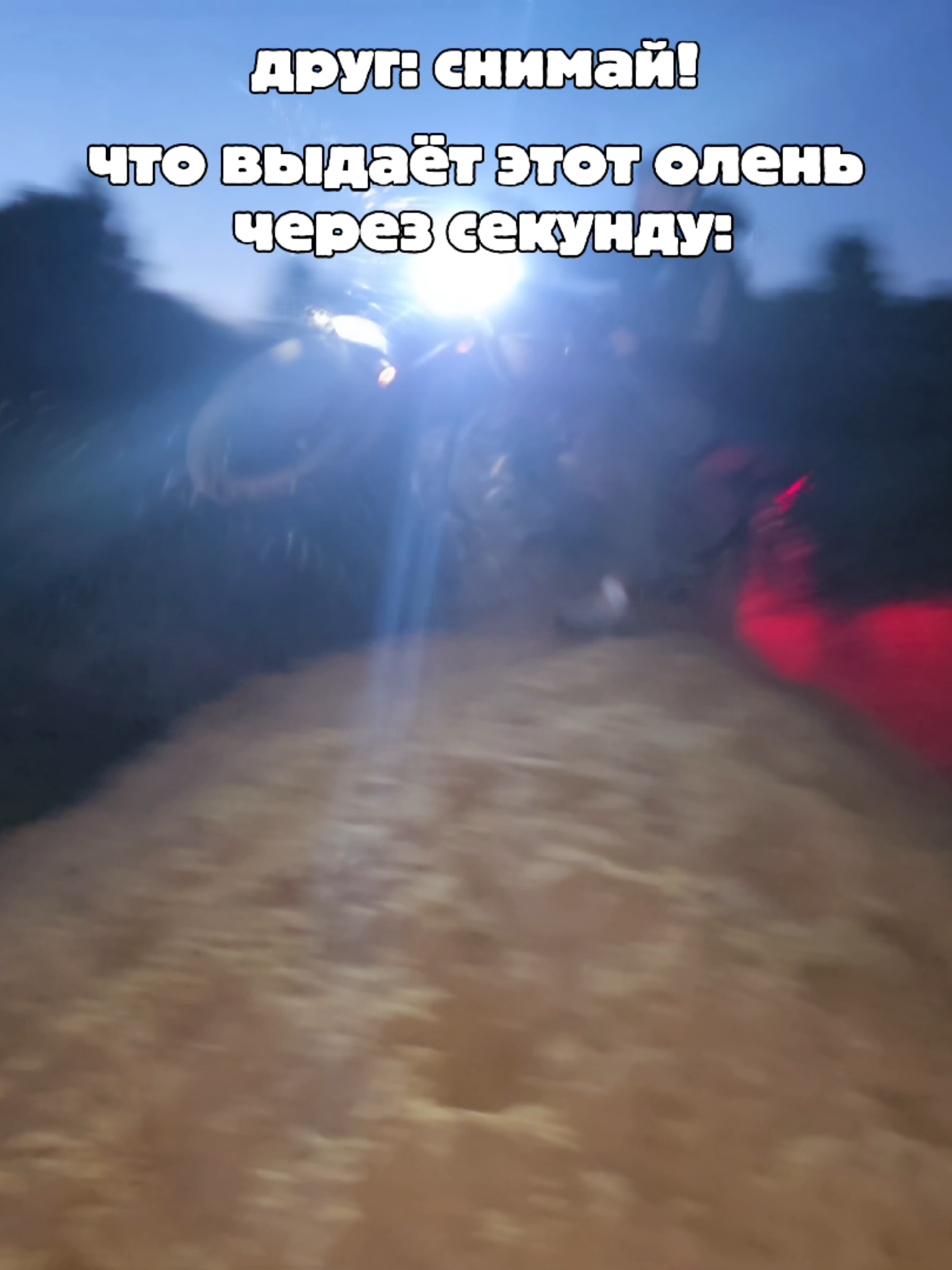 @Stazerka