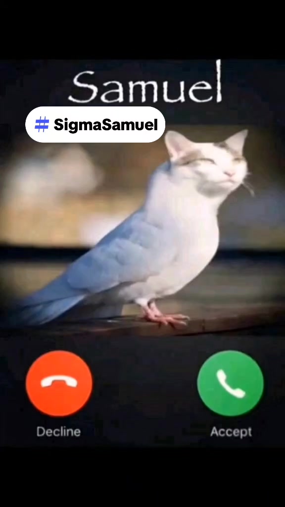@Sigma Samuel 2