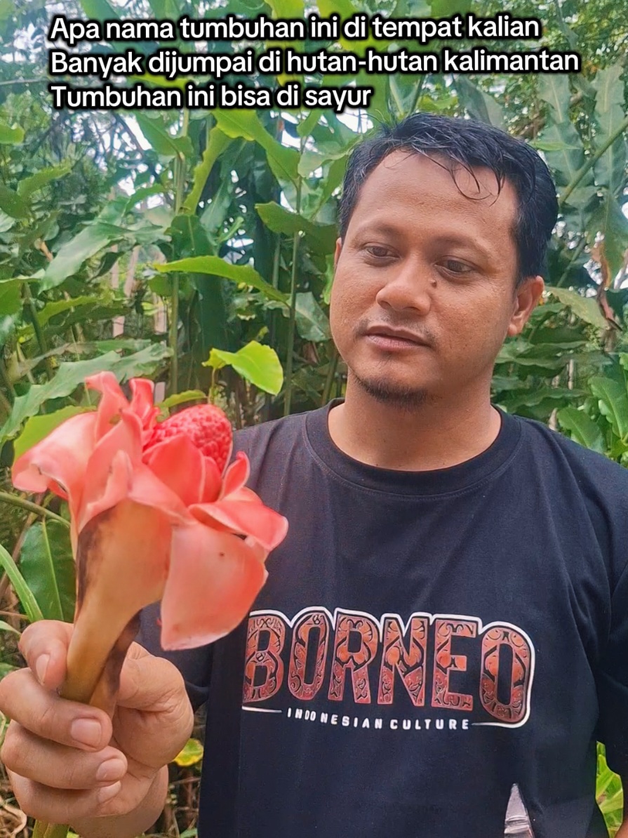 @Putraborneo30