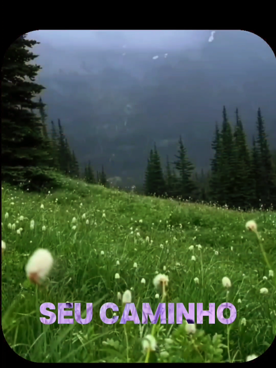 @Fatos que Fascinam