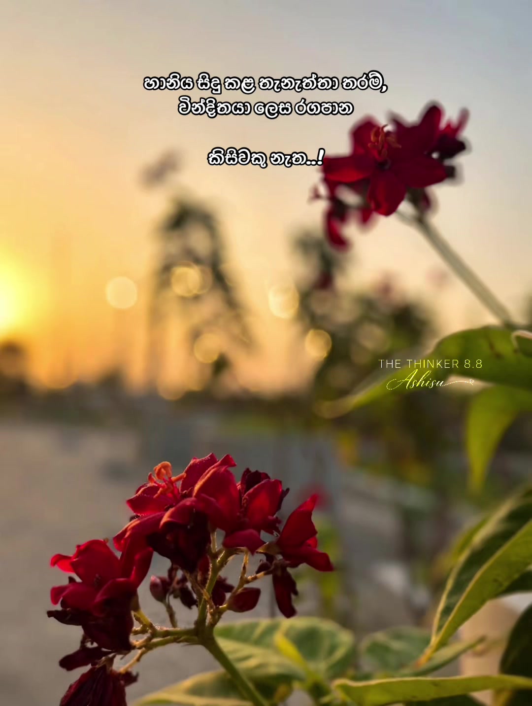@asanthiraja33