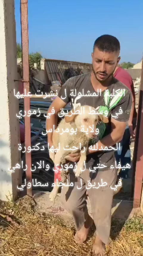@khaled