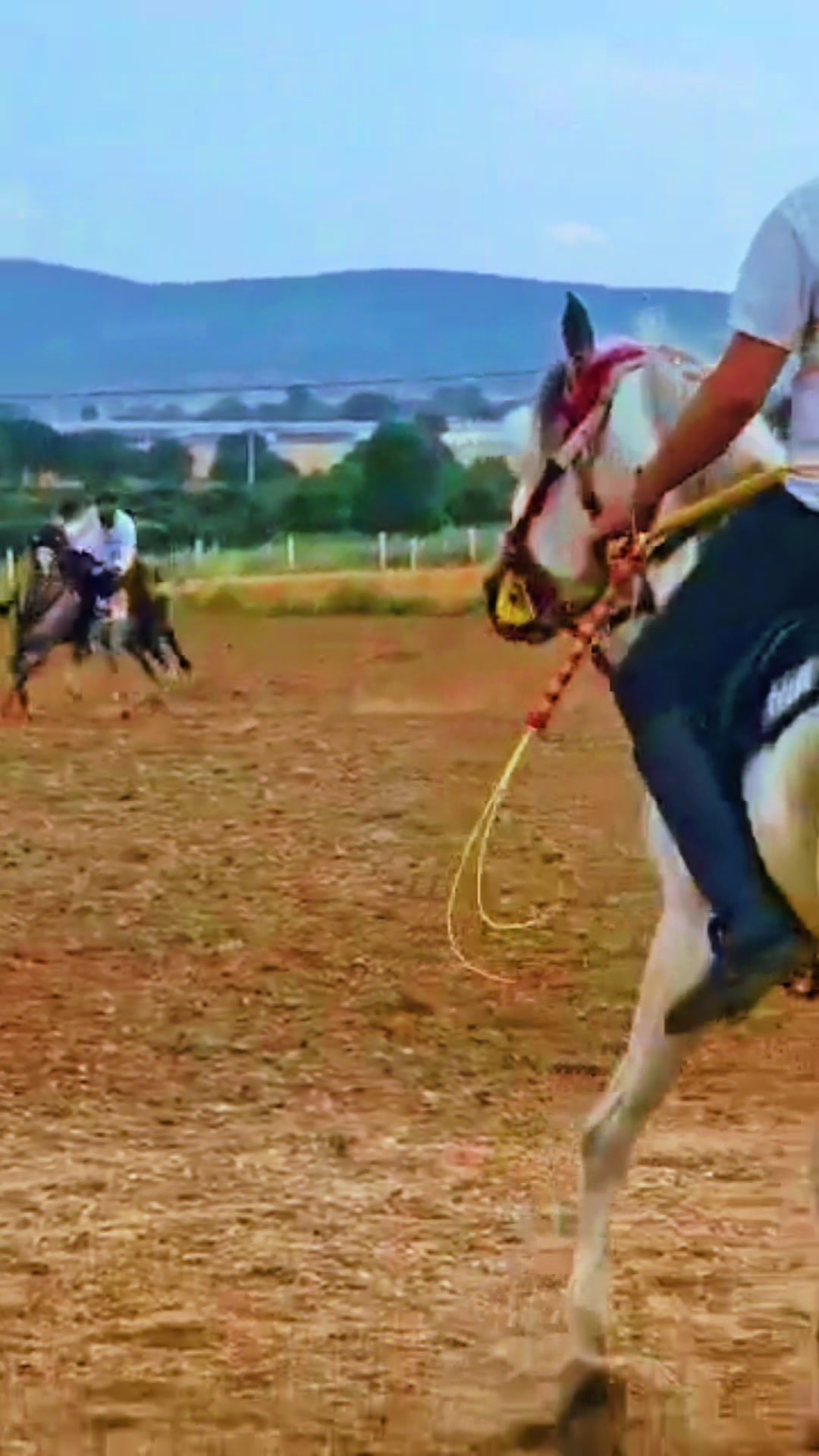 @Emre Kuş