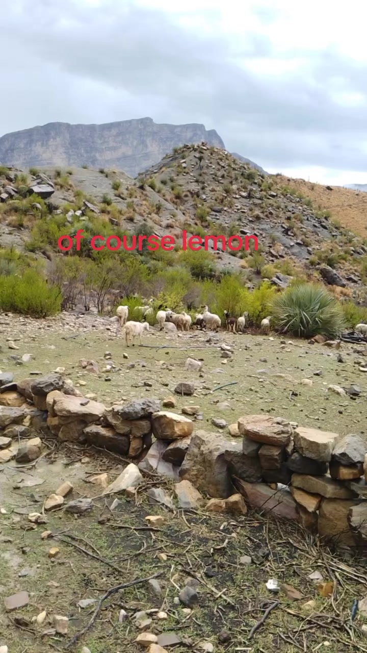 @عبداللہ