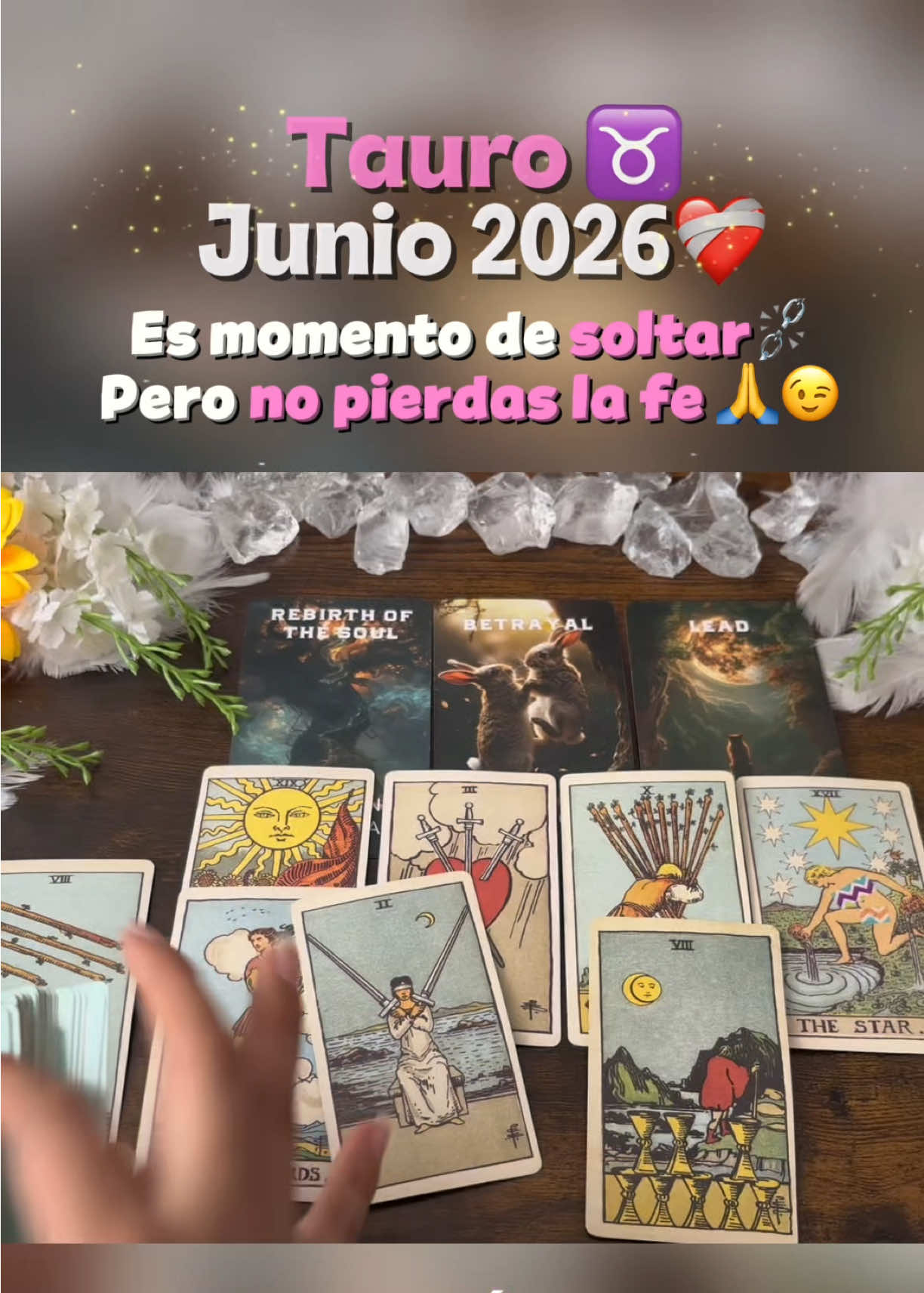 @Andy Sun Tarot ☀️