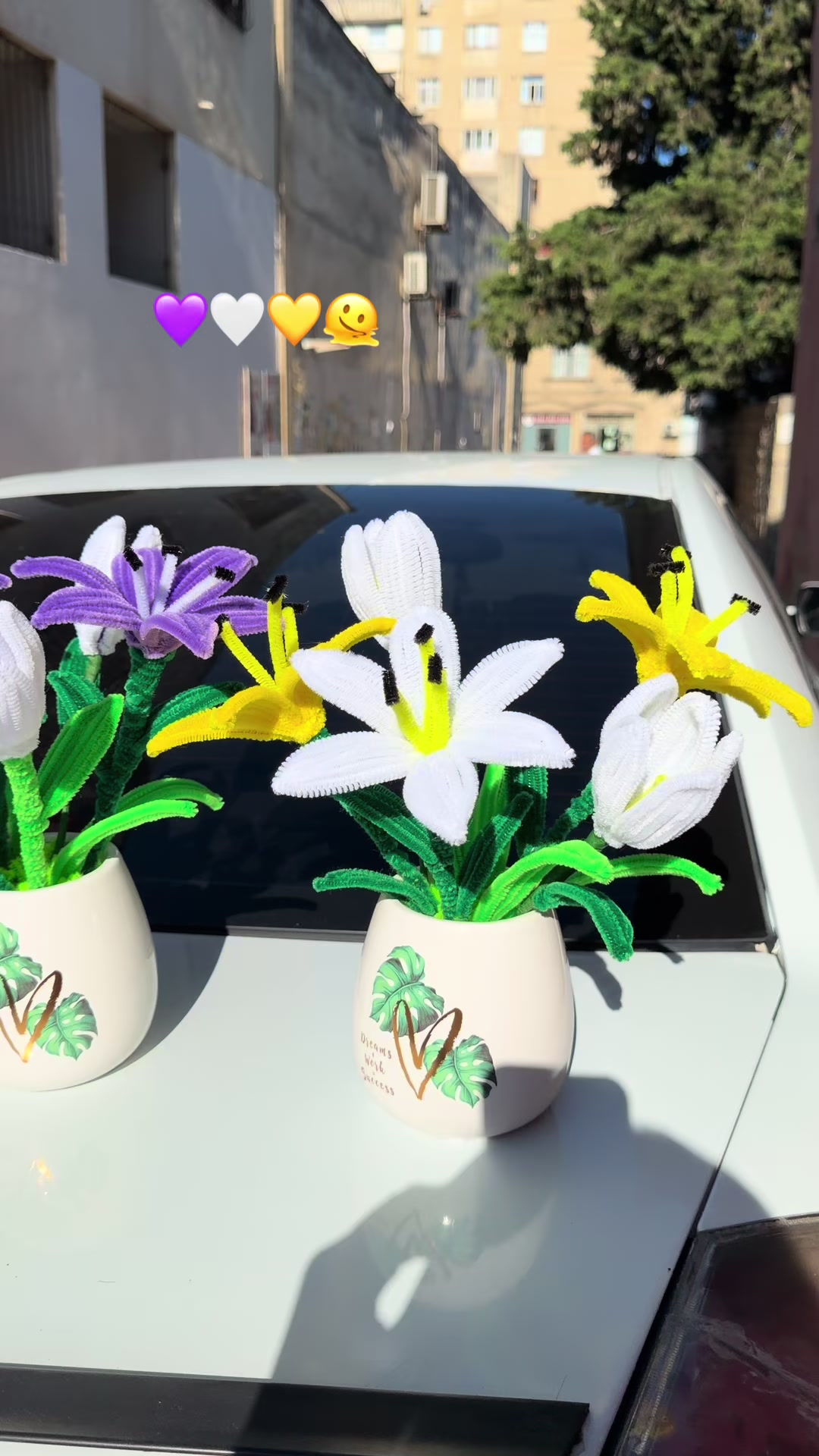 @Rüya.Buket💐