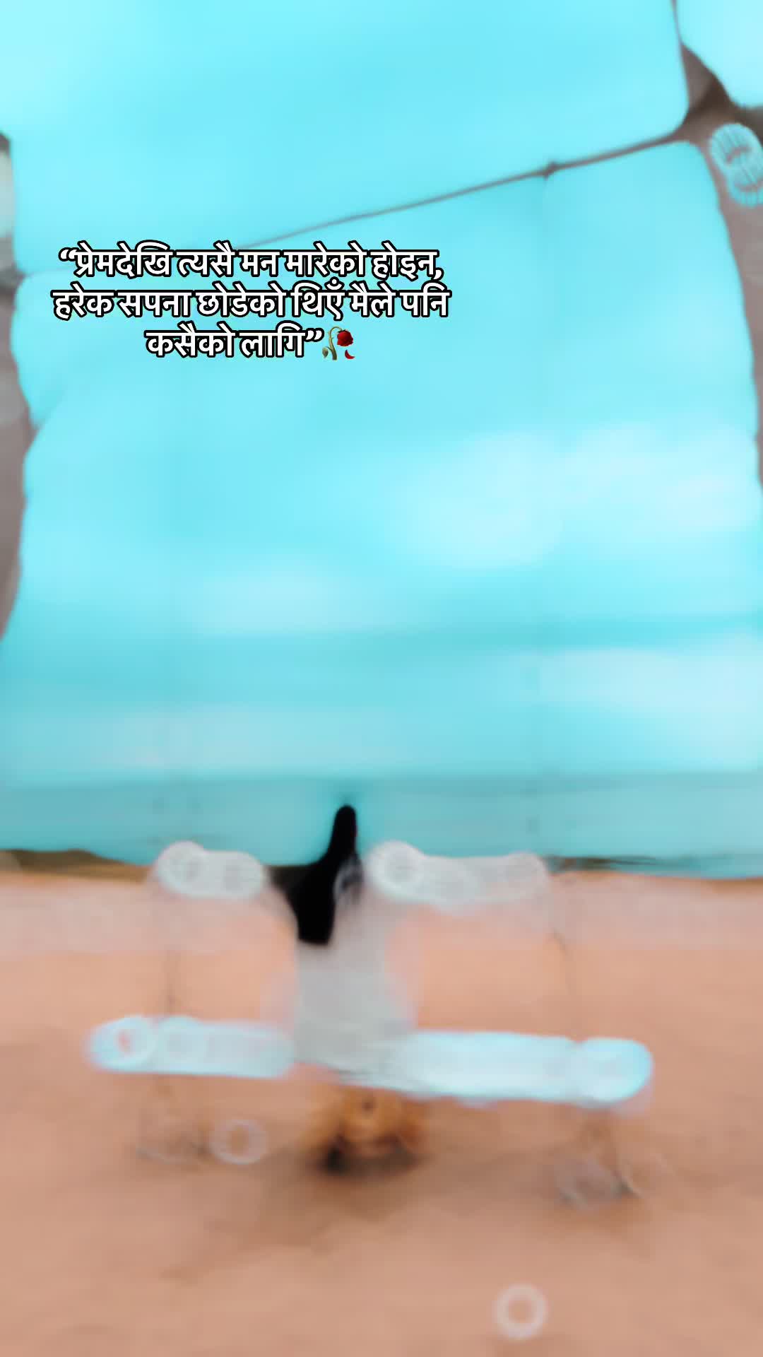 @🦚❤️