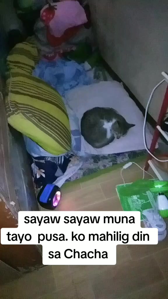 @Tatay Ambo online selling