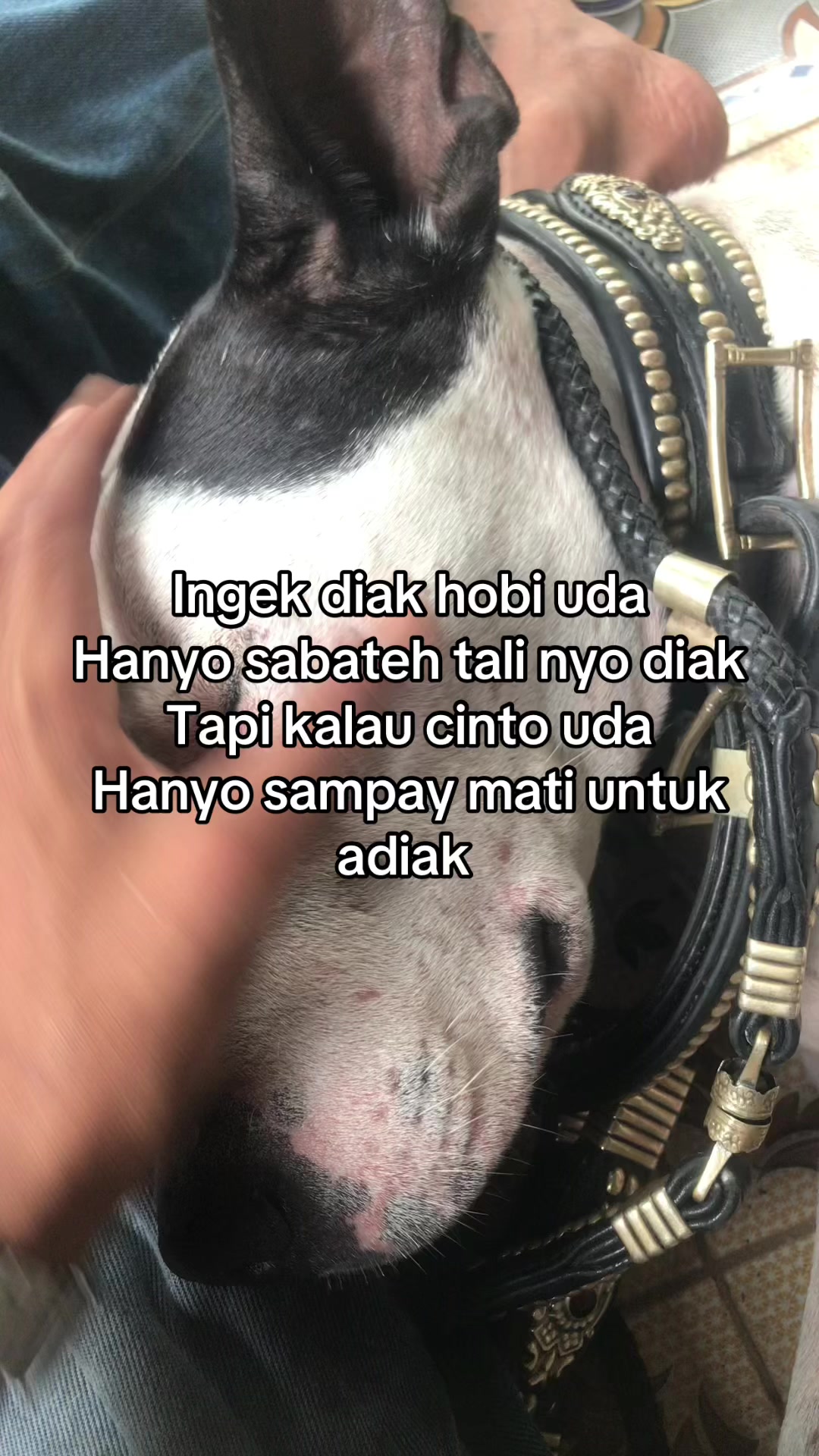 @Abel