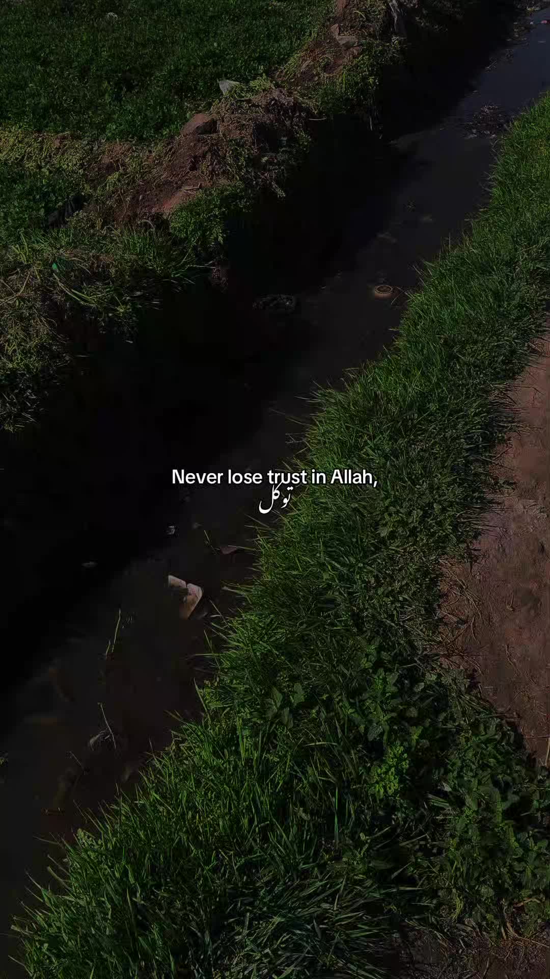 @Shia_Thoughts