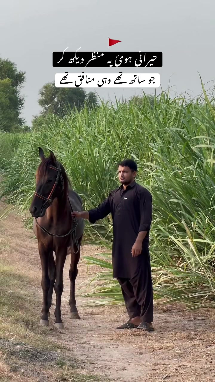 @انس جٹ