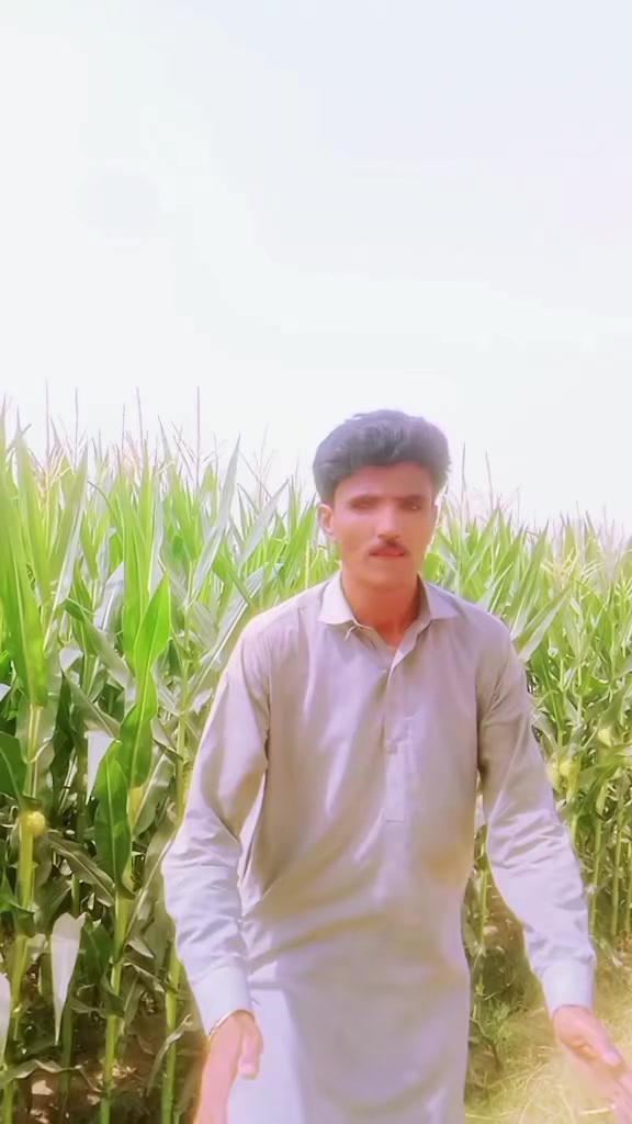 @Abid Bhatti367