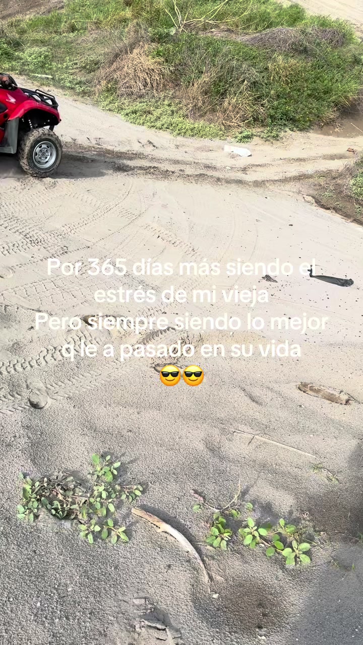 @Gabolezama 😎😎