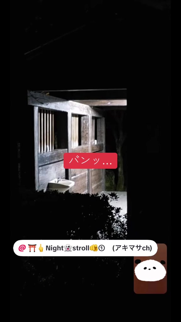 @そら。まめ。👻⛩✨🦁🏴☠️