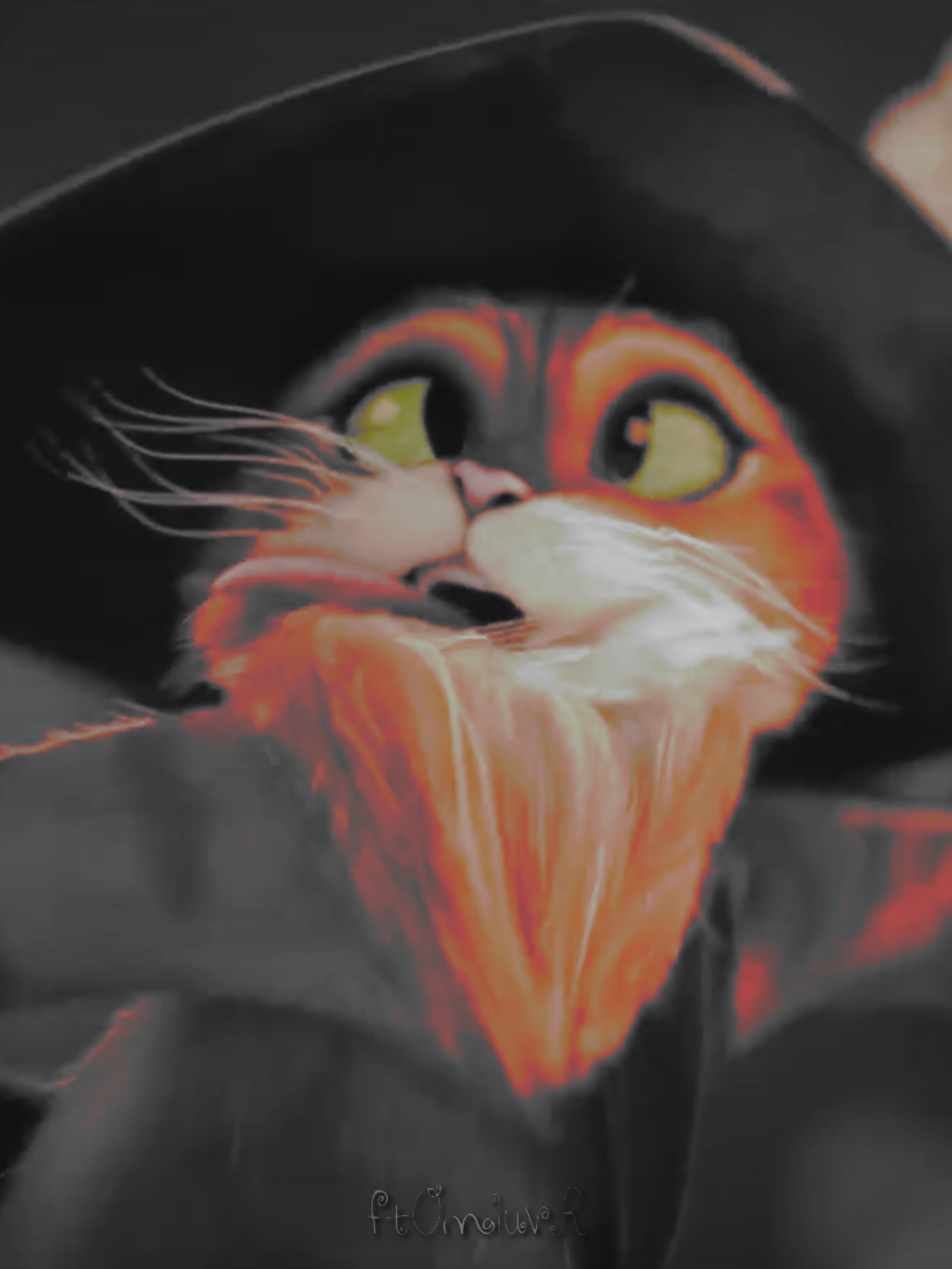 @𑣲 𝑓𝑡𝑜𝑚 ˚.⋆ֹ