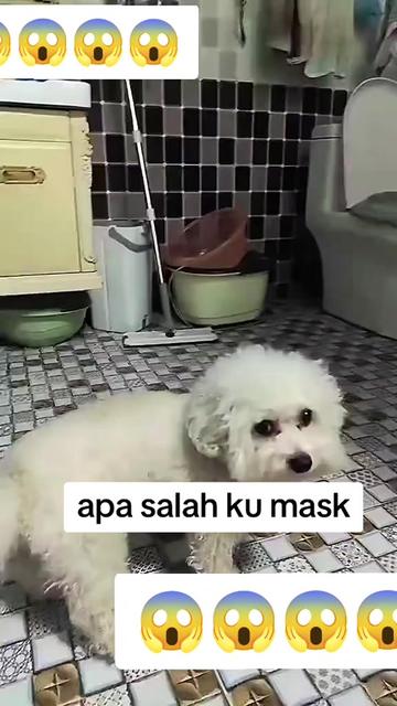 @babah zikri