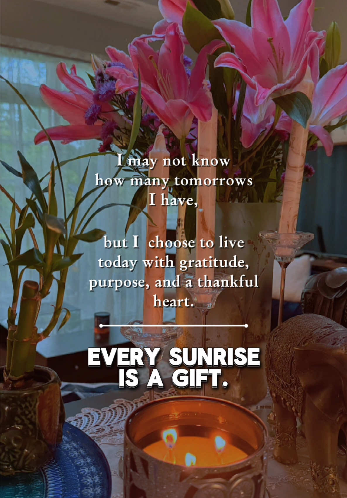 @DailyInspirationDose