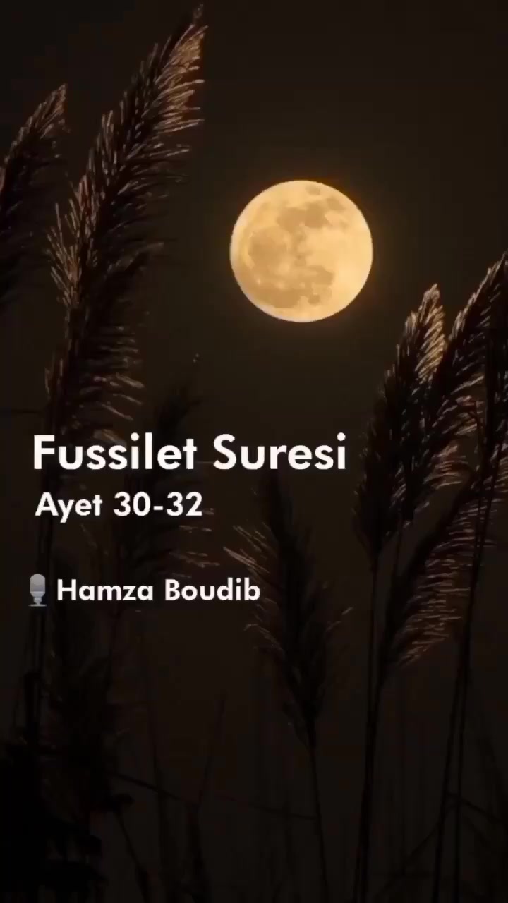 @aynur Kocakaya 280.🤲