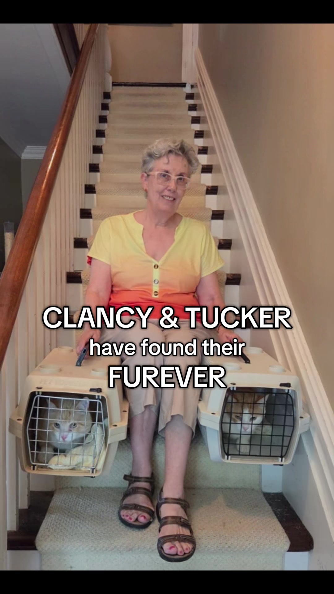 @North Toronto Cat Rescue