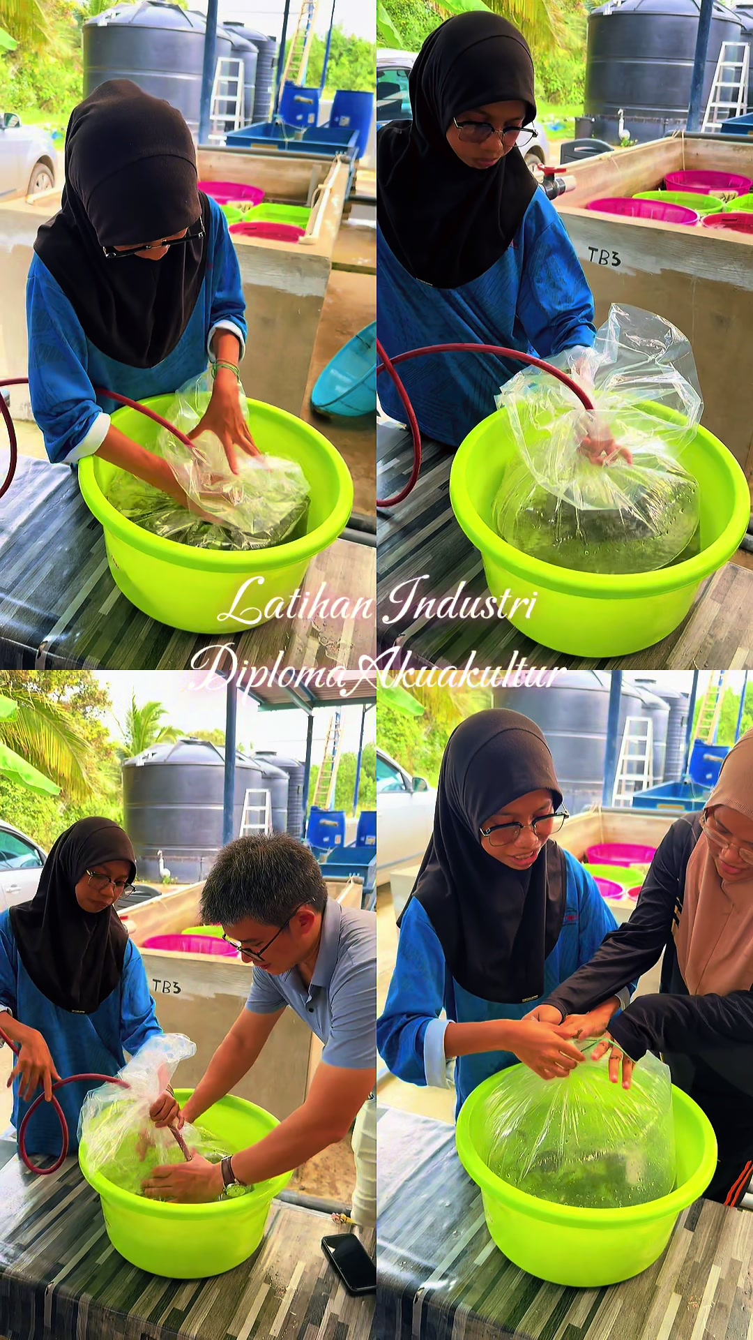 @Cikgu AE