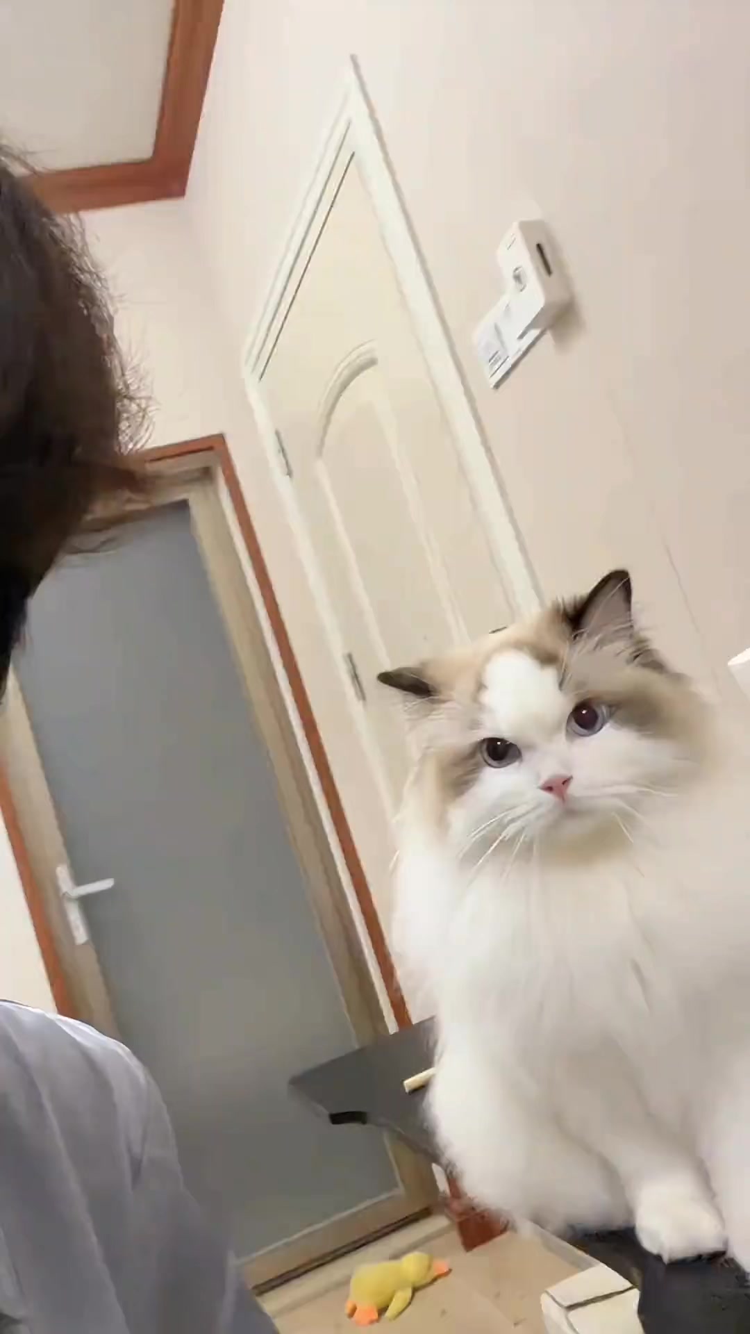 @𝓐ᥫ᭡𝐥𝐳𝐚𝐚🧸ྀི